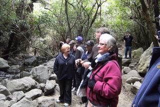 Looking at the seals